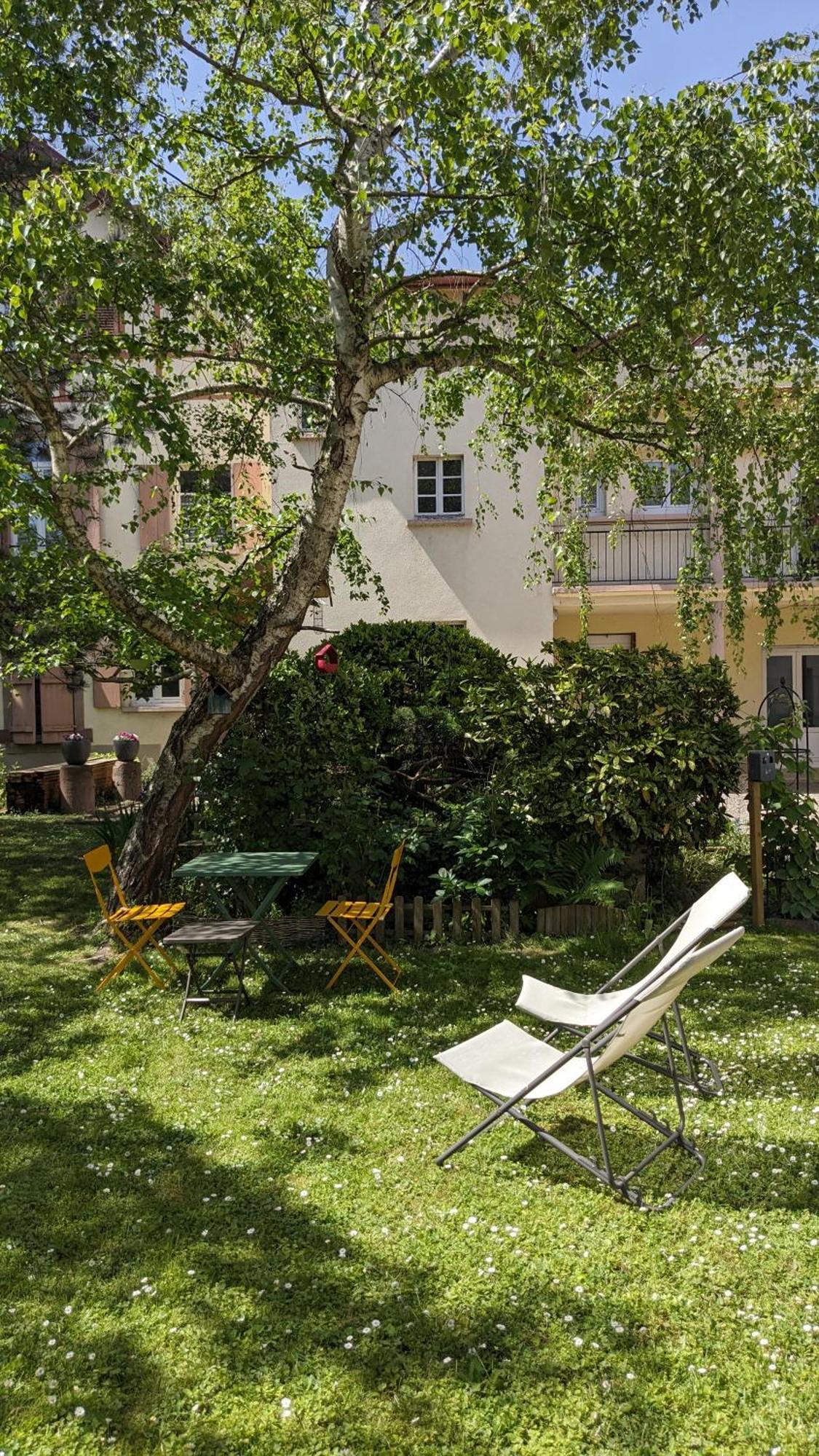 Апартаменты Le Petit Parc Кольмар Номер фото